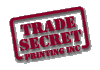 TSP Logo
